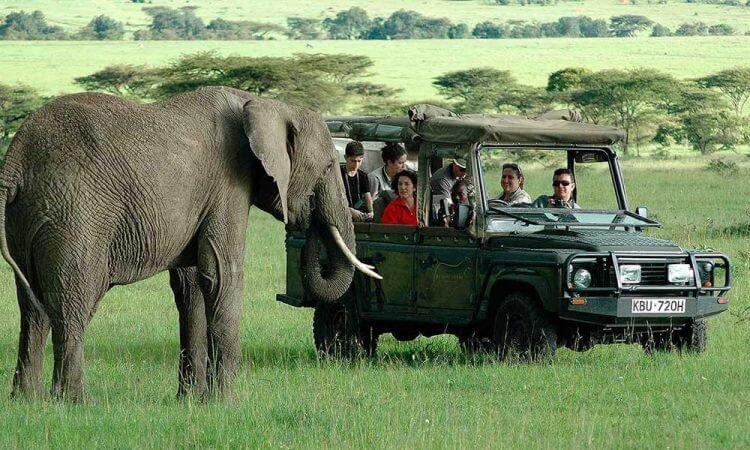 Voyages en Afrique (5)